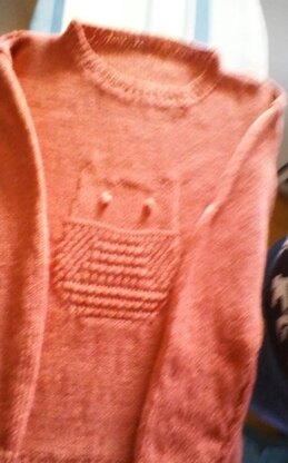 Ladies Jumper