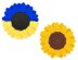 Sunflower coasters in the colors of the Ukrainian flag