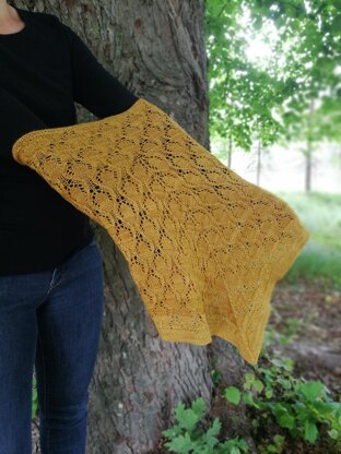 Acorn cowl