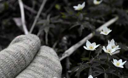 Wildflowers