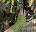 Green Fingers Fingerless Mitts