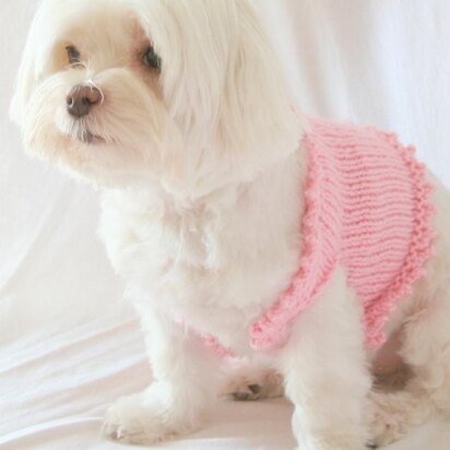 P01 Fancy Dog Sweater