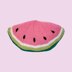 Watermelon Cushion