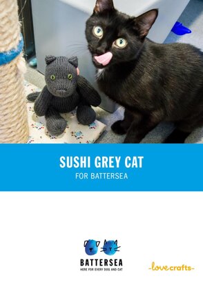Sushi the Cat for Battersea