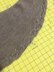 Nancy Louise Shawl