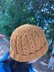 Harvest Wheat Knit Hat