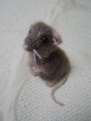 Little brown house mouse
