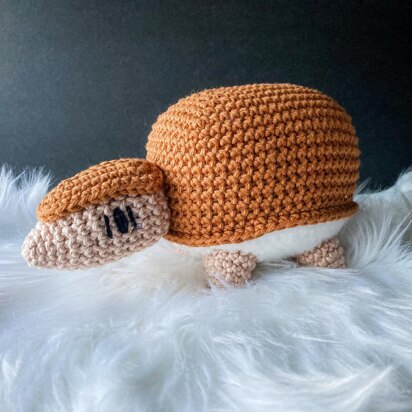 John the Armadillo