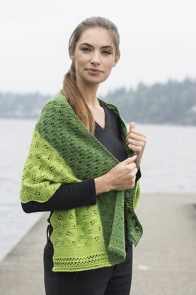 Leafy Transitions Shawl in Cascade 220 Fingering - FW231 - Downloadable PDF