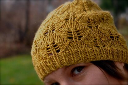 Knitting School Dropout Irving Hat PDF