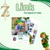 Link (The legend of Zelda) Amigurumi Pattern