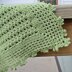 Green Cuddles Baby Blanket