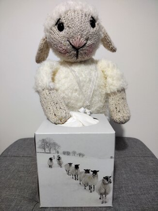 Sawyer the Sheep #4