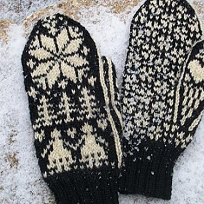 Friendship Mitten