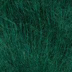 Seaweed (3451)