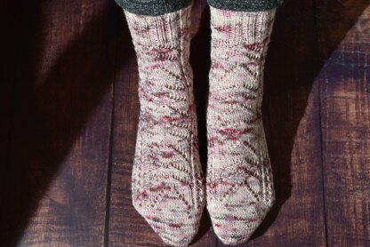 Kolia chaussettes VF