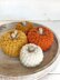 Sugar Pumpkins 079