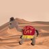 Hump Day Camel
