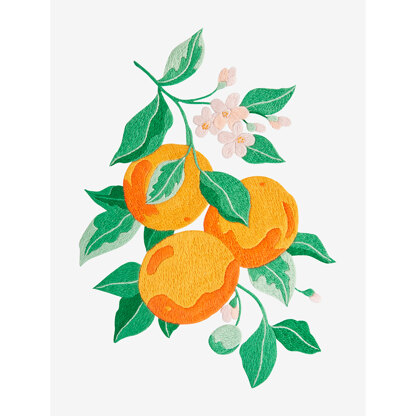 Orange Blossom in DMC - PAT0605 - Downloadable PDF