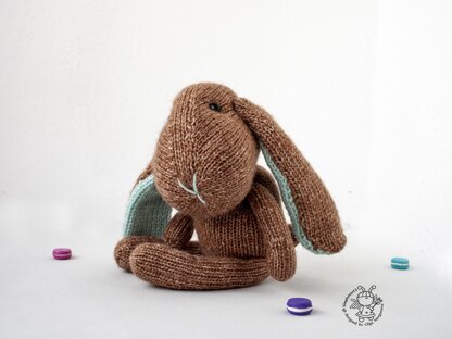 Bunny Biscuit