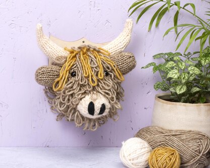 Highland Cow Head