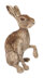 The Crafty Kit Company Wild Scottish Hare Needle Felting Kit - 190 x 290 x 94mm
