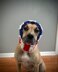 American Flag Dog Snood