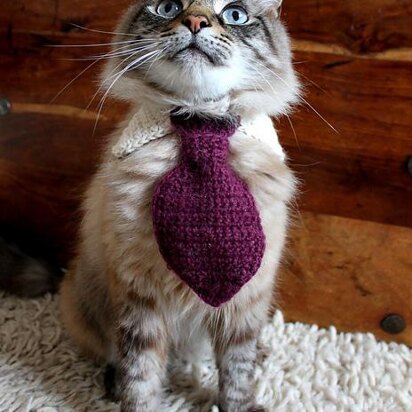 Pet Tie