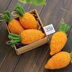 Mini Knitted Carrot Pattern, Beginner Friendly Toy, Easter Decor (PDF Pattern)