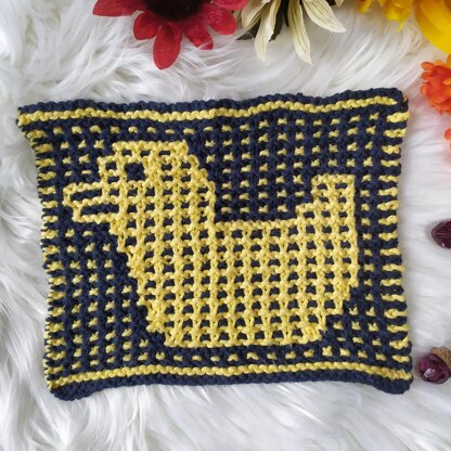 Lucky Ducky Dishcloth