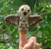 Oscar Owl Finger Puppet