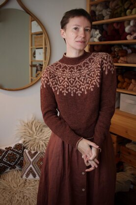 Candelariella pullover