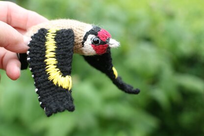 Charming Goldfinch