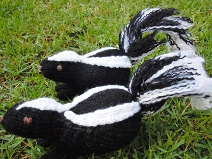 Skunk Baby