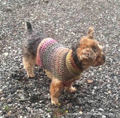 Simple Small Dog Sweater
