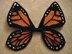 Little Monarch Butterfly Wings