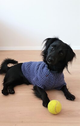 Nori dog sweater (S)