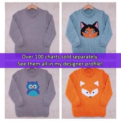 Interchangeable Picture Chart - DK Childrens Base Sweater