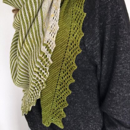 Promise of Spring shawl