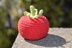 Tomato food toy