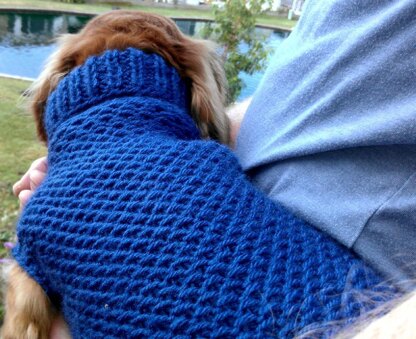 Ripple Stitch Miniature Dachshund Sweater