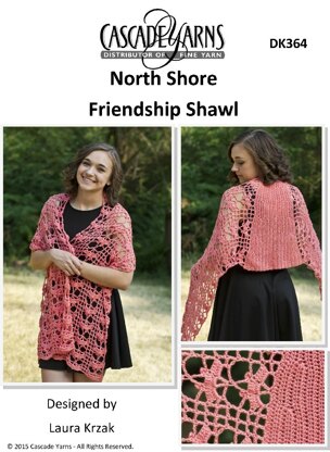 Friendship Shawl in Cascade North Shore - DK364