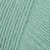 Teal (14)