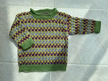 Jumper for Robin