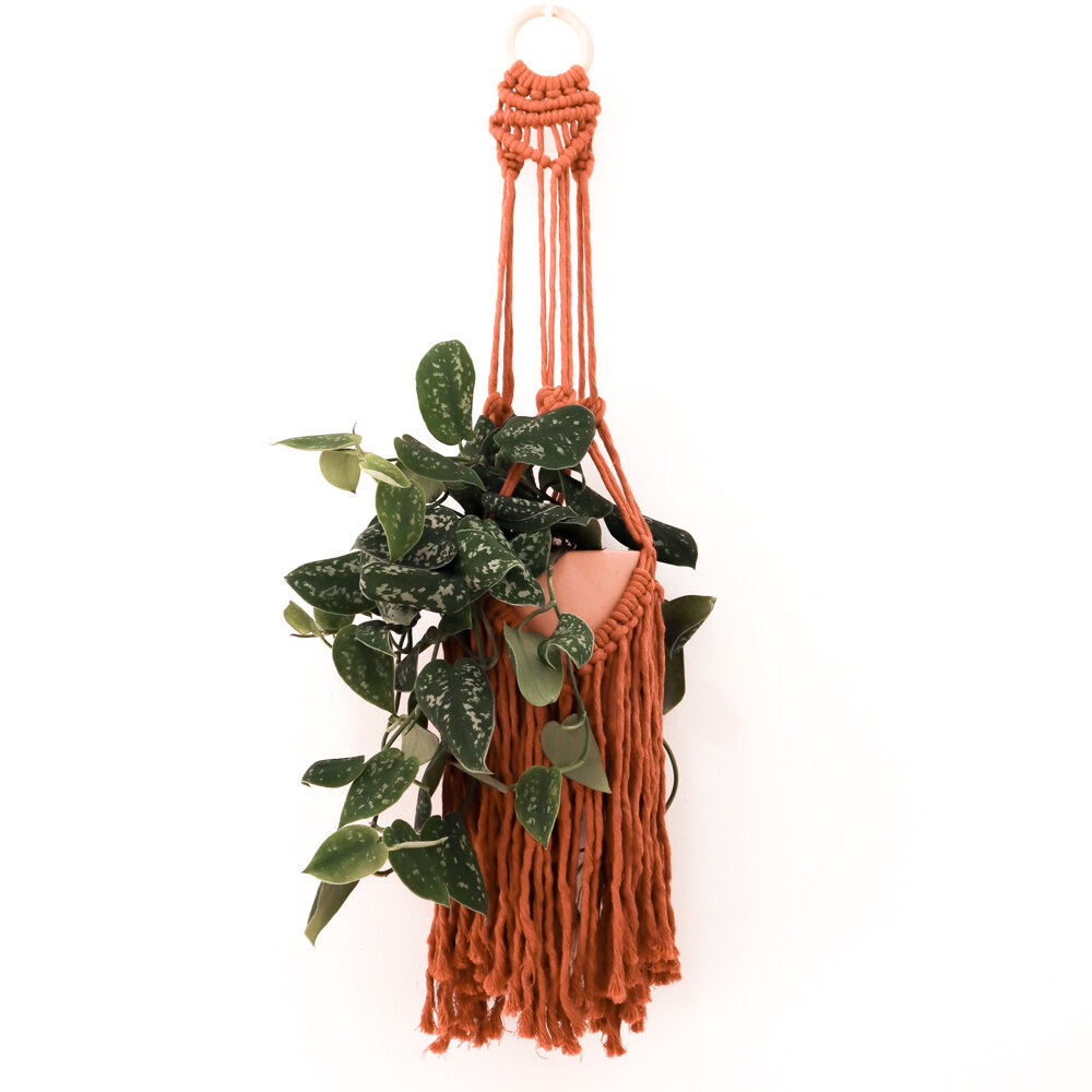 Deluxe Plant Hanger Macrame Kit – Stitch Happy.