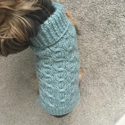 Ocean Wave cabled dog sweater