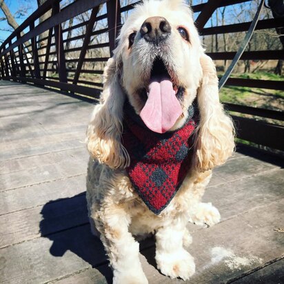 Woof! - knitting pattern