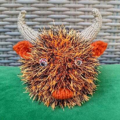 Highland Cow - Chocolate Orange Cover