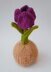 Tulip Chocolate Orange Cosy