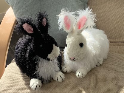 Angora Bunny Rabbits